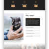 Animal Shelter - Image 2