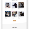 Animal Shelter - Image 6