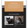 Animal Shelter - Image 9
